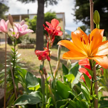 Casa de Férias Art Beds & Garden 9 Beds Between The Sea, Thermal Baths, And The Tuscan Countryside Suvereto