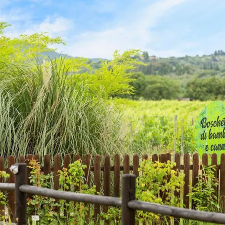 Casa de Férias Art Beds & Garden 9 Beds Between The Sea, Thermal Baths, And The Tuscan Countryside