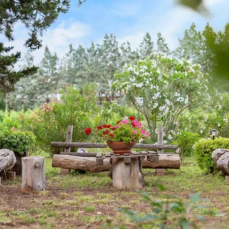 Casa de Férias Art Beds & Garden 9 Beds Between The Sea, Thermal Baths, And The Tuscan Countryside Suvereto