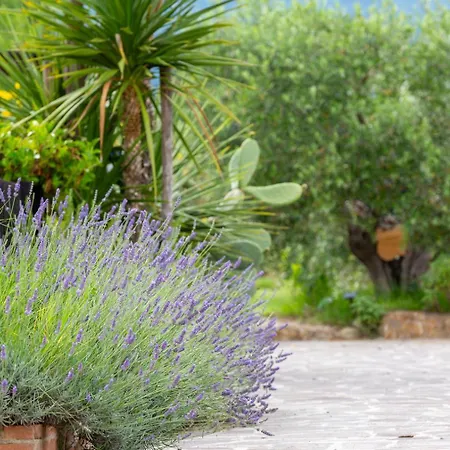 Casa de Férias Art Beds & Garden 9 Beds Between The Sea, Thermal Baths, And The Tuscan Countryside *